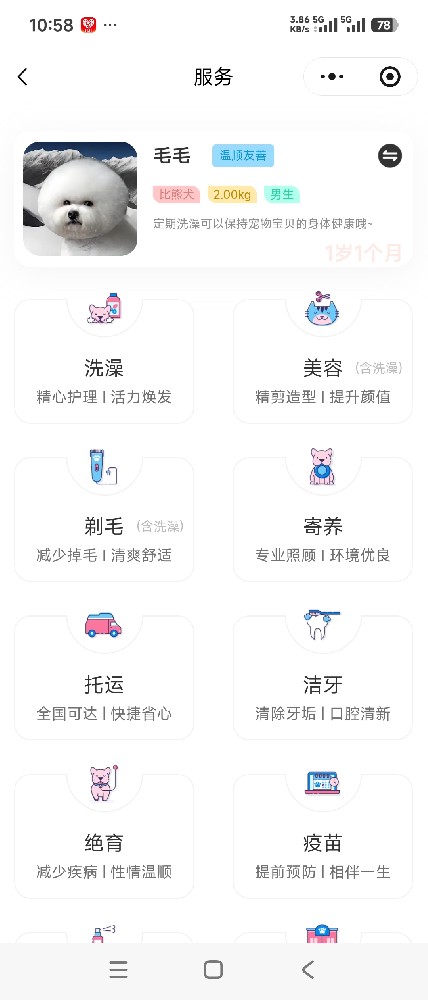 APP服务内容