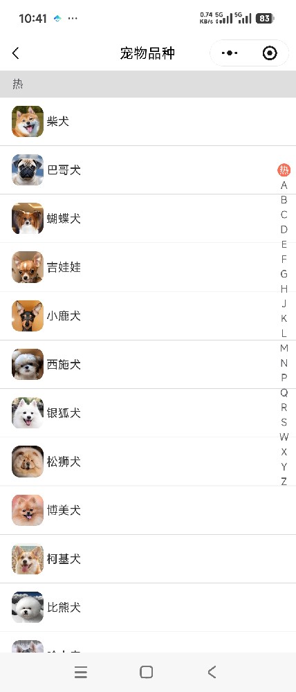 宠物列表