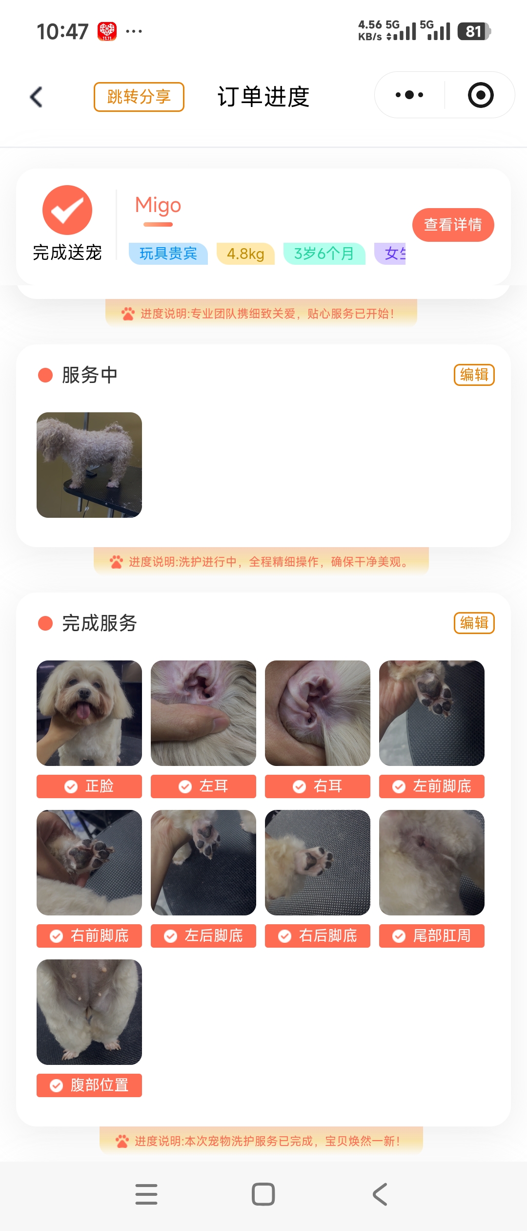 订单进度.jpg