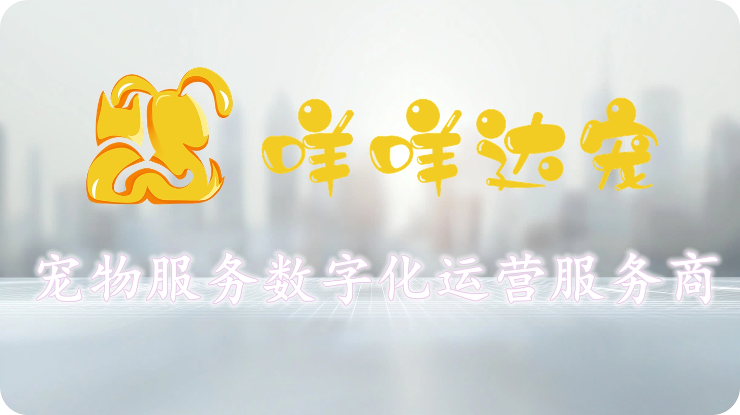 关于我们配图.jpg